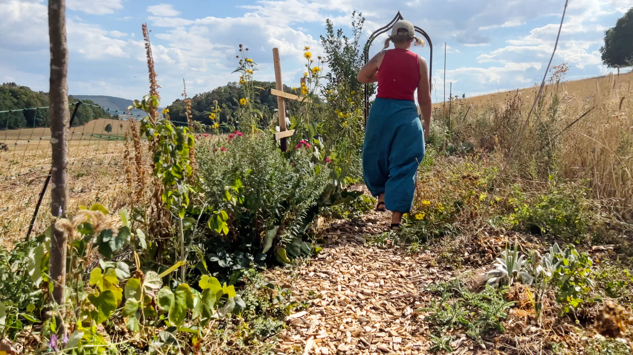 Aukse geht durch den Scheuerhof-Garten
